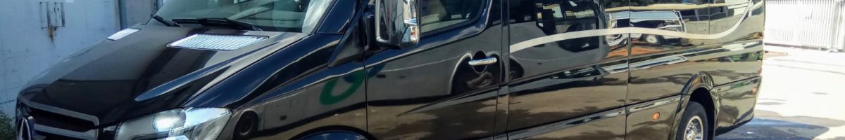 מוניות גדולות לנתב"ג